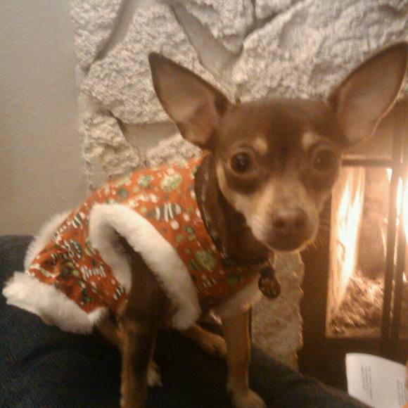 Meet your Posher, Jennifer - Picture 1 of 1